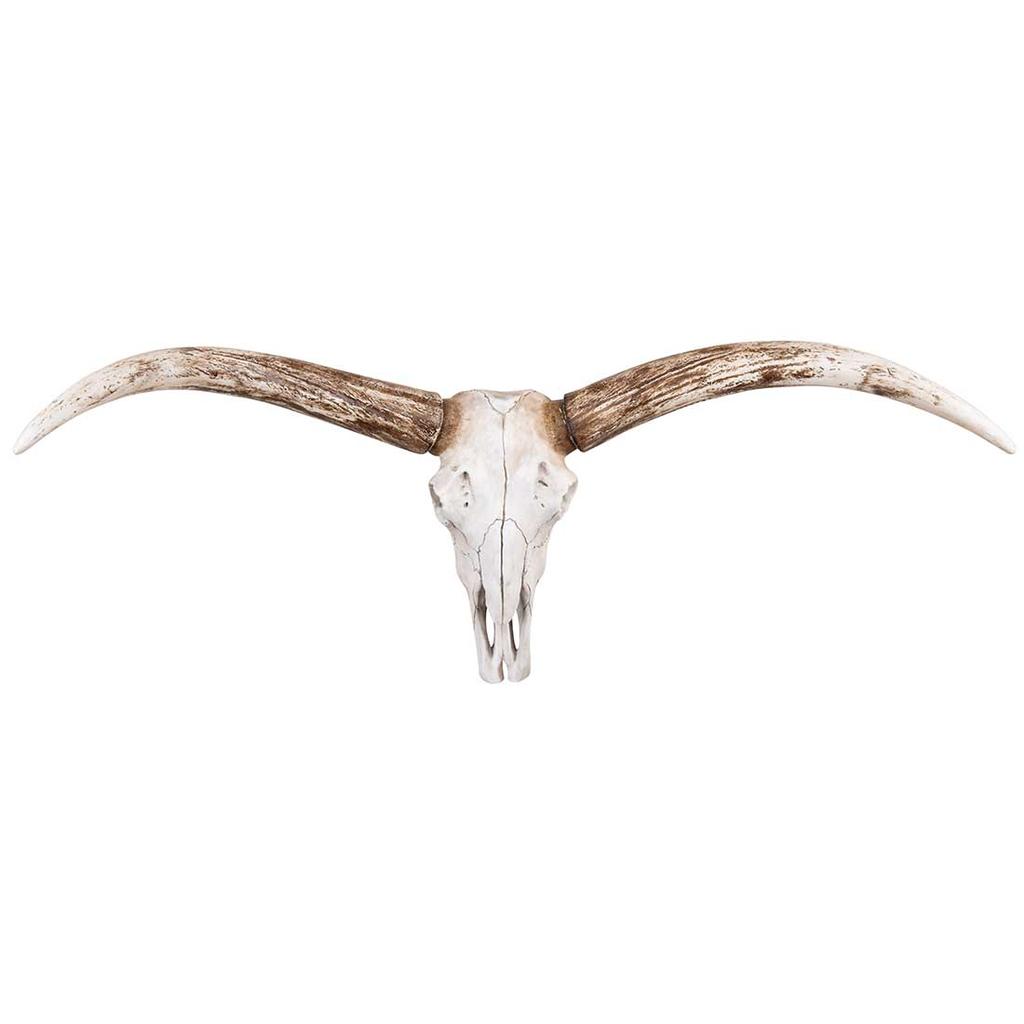 Cracker Barrel Steer Skull