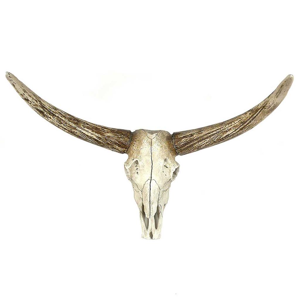 Cracker Barrel Steer Skull