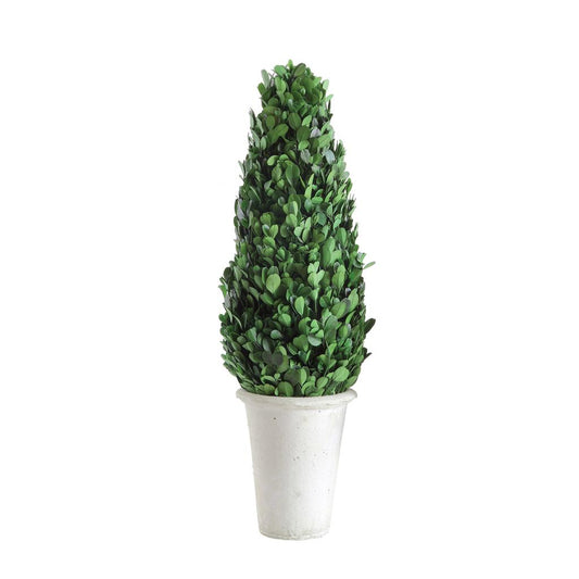 Cracker Barrel Boxwood Cone Shaped Topiary