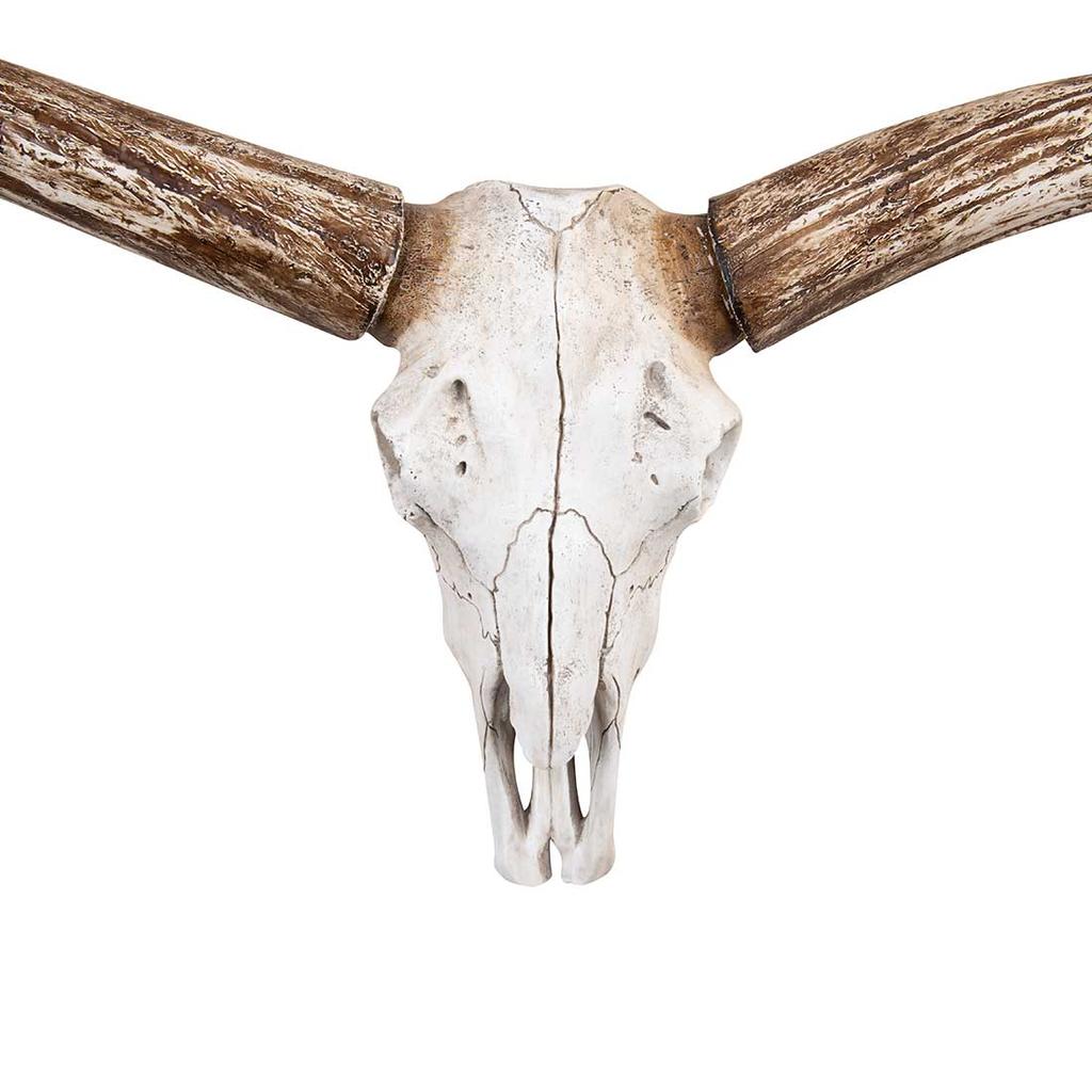 Cracker Barrel Steer Skull