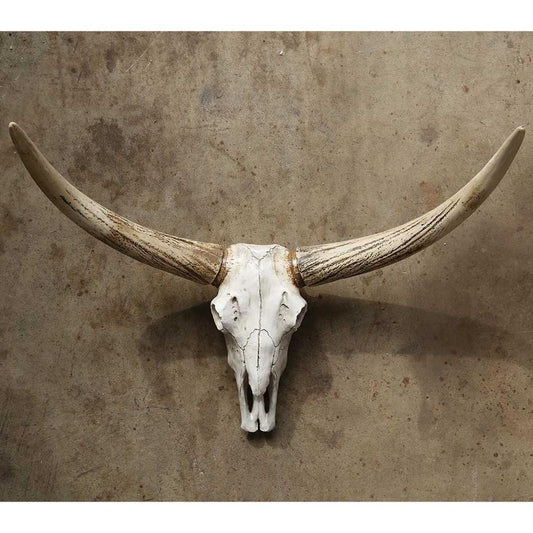 Cracker Barrel Steer Skull