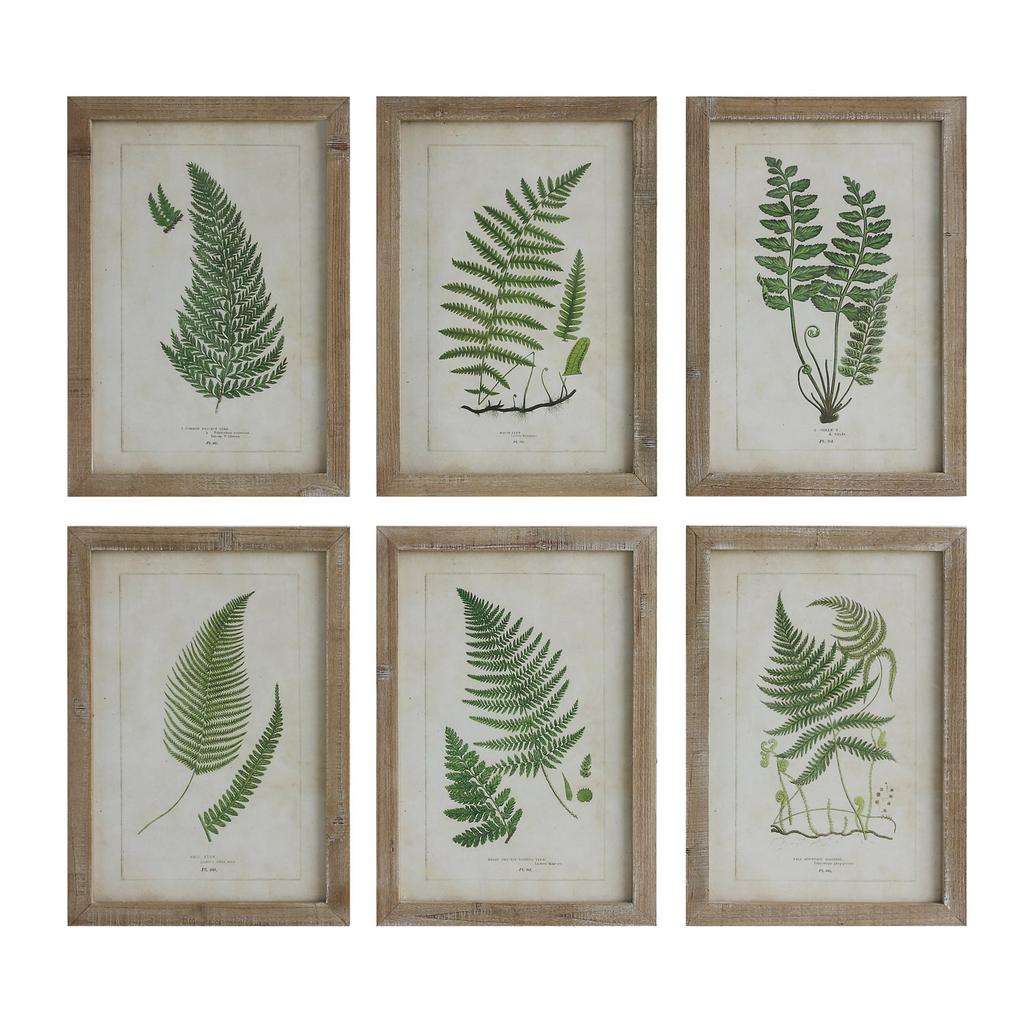 Cracker Barrel Fern Print Wood Wall Decor - Set of 6