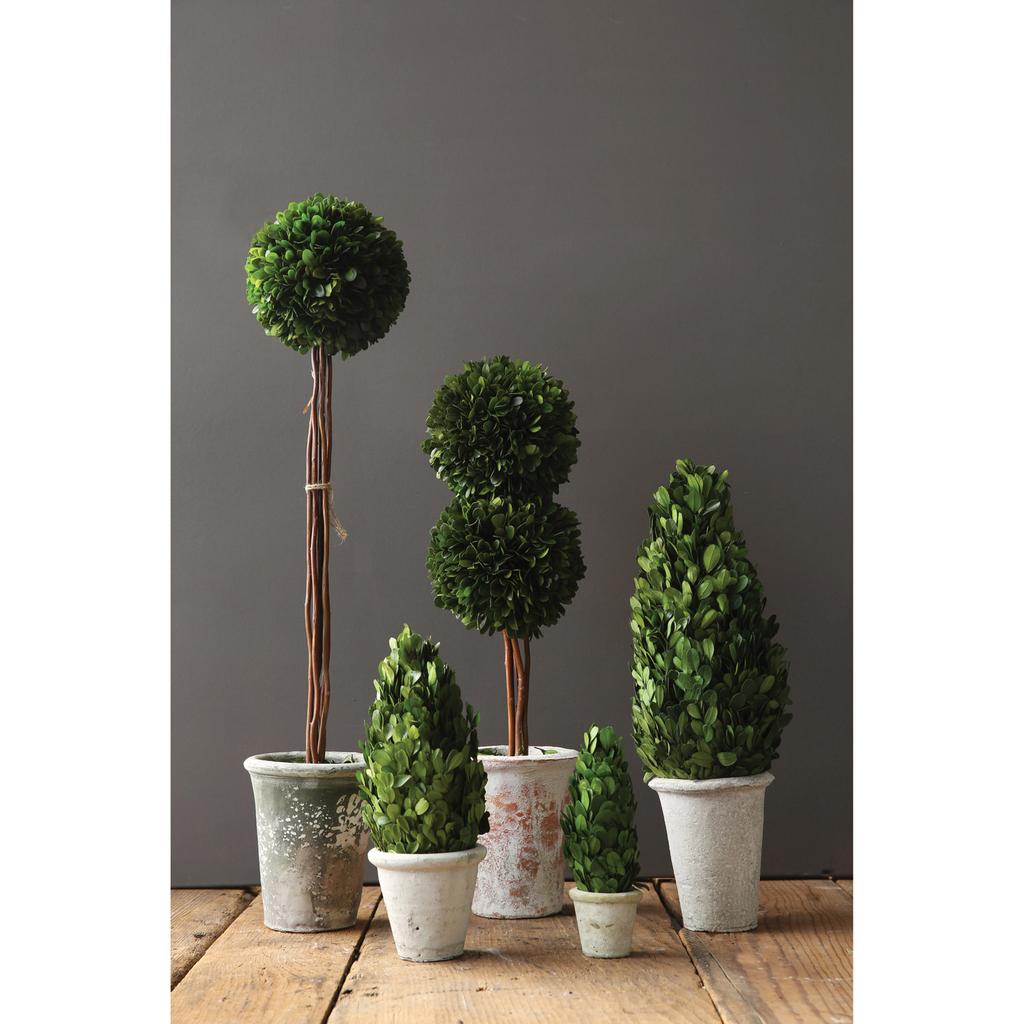 Cracker Barrel Boxwood Cone Shaped Topiary