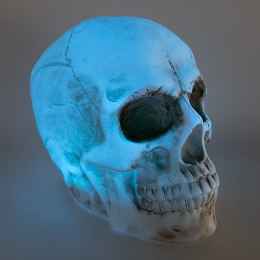 Cracker Barrel Skull Blow Mold